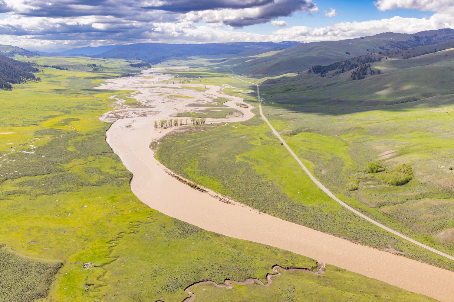 The broad grass floor of the Lamar Valley with the river swollen and brown across it.