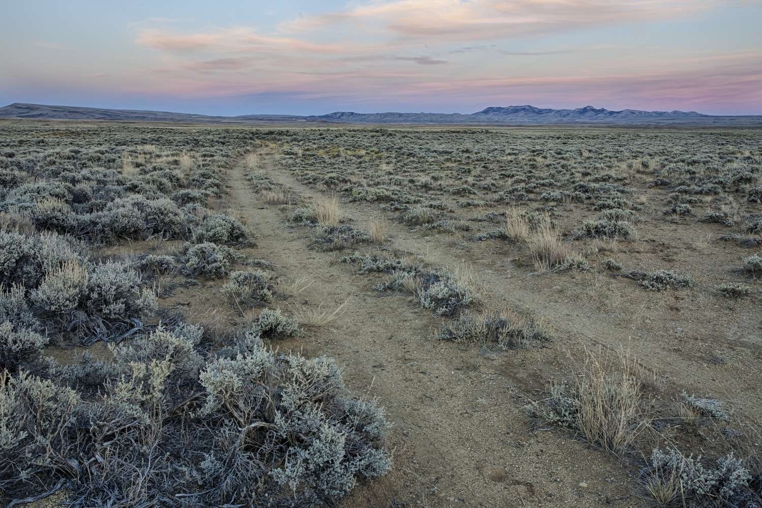 Two wagon ruts running through the sagebrush at South Pass with mountains on the skyline.